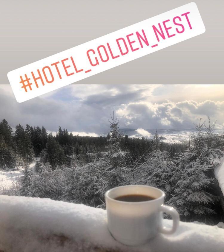 Golden Nest Leilighet Jablunytsja Eksteriør bilde